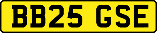 BB25GSE