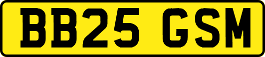 BB25GSM