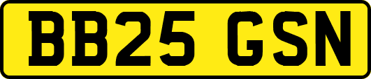 BB25GSN