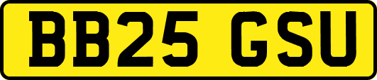 BB25GSU
