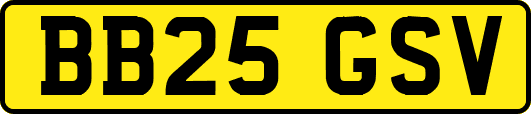 BB25GSV