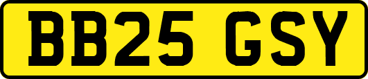 BB25GSY