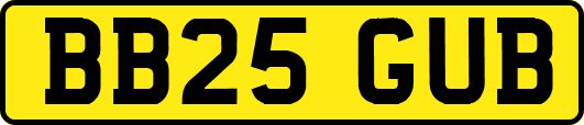 BB25GUB