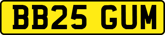 BB25GUM