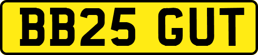 BB25GUT