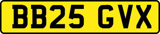BB25GVX