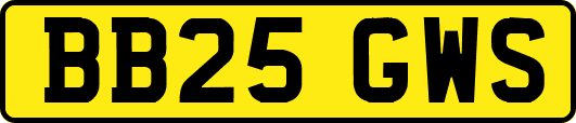 BB25GWS