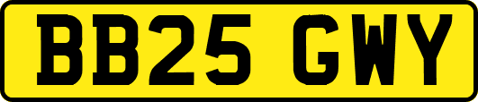 BB25GWY