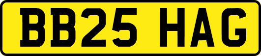 BB25HAG