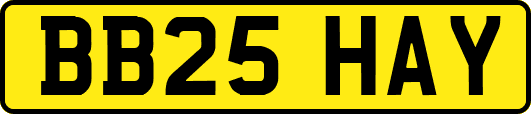 BB25HAY