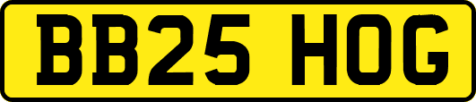 BB25HOG