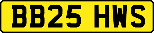 BB25HWS