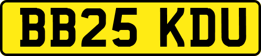 BB25KDU