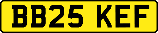 BB25KEF