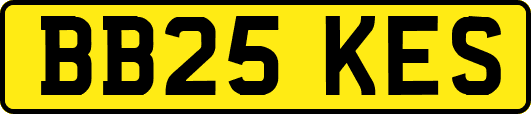 BB25KES