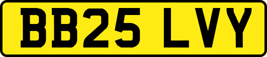 BB25LVY