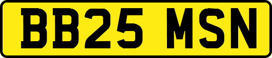 BB25MSN