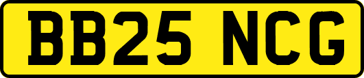 BB25NCG