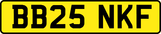 BB25NKF