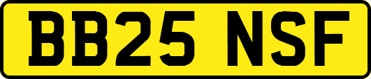 BB25NSF
