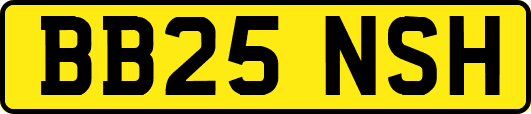 BB25NSH