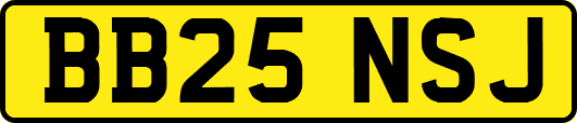BB25NSJ