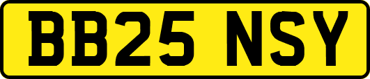 BB25NSY