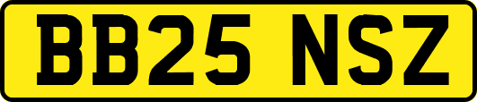 BB25NSZ