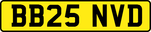 BB25NVD