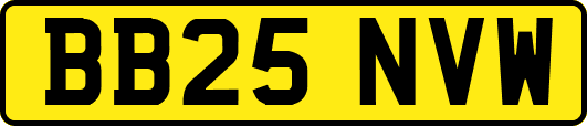 BB25NVW