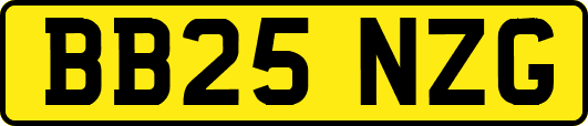 BB25NZG