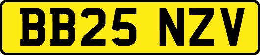 BB25NZV