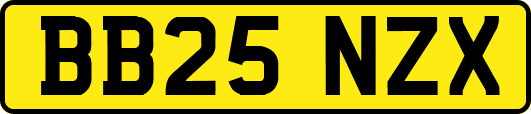 BB25NZX