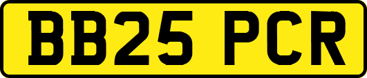 BB25PCR