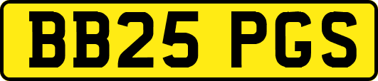 BB25PGS