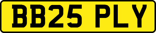 BB25PLY