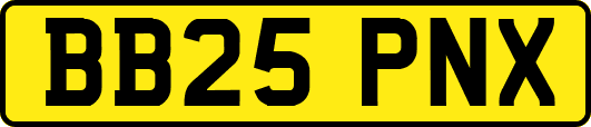 BB25PNX