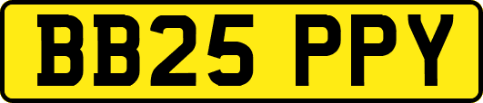 BB25PPY