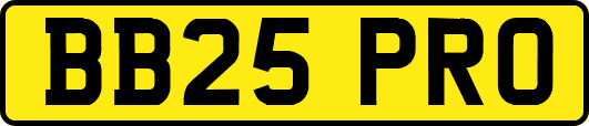 BB25PRO