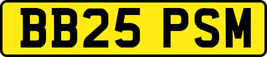 BB25PSM