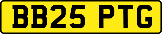 BB25PTG