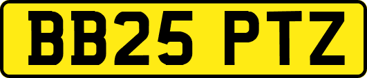 BB25PTZ