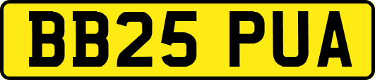 BB25PUA