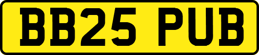 BB25PUB
