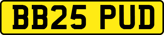 BB25PUD