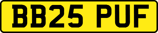 BB25PUF