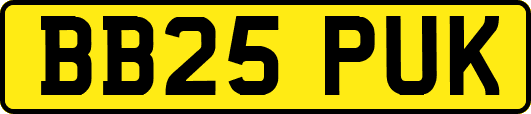 BB25PUK