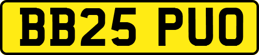 BB25PUO