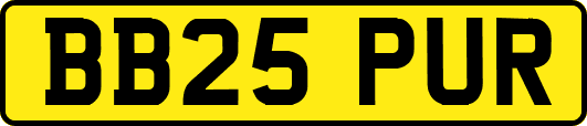 BB25PUR