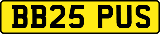 BB25PUS